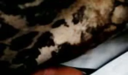 من وجهة سيكس عربي مصري نظر قيادة الحزب اللباس الداخلي