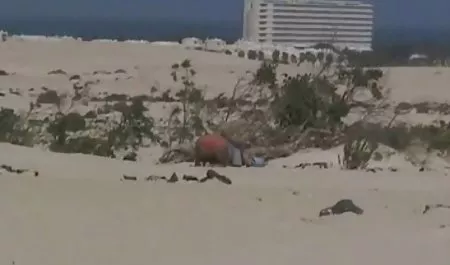 آخر المنتدى بنات عرب سيكس