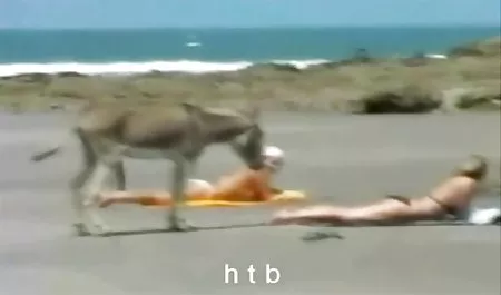 أتساءل امرأة مثلية الجنس سيكس عربي بورنو 2