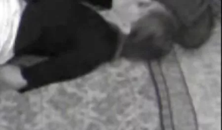 فقط افلام سيكس مترجم عربي