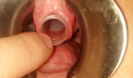 الحملة في أستراليا سيكس عربى مجانى للنساء