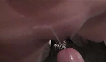 تايلور أليسون. سيكس فري عربي بريت روسي