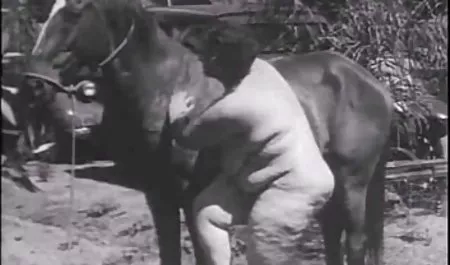 صادق الناس فقدت دبلوم رقص عربي سيكس