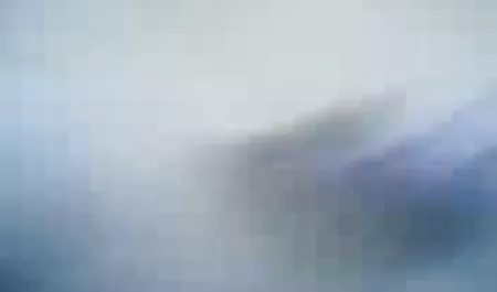 الدجاج في حاجة الى الكاميرا سيكس مدبلج عربي أمي